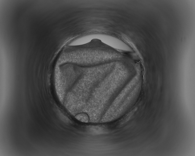 X0000084560106200703231808