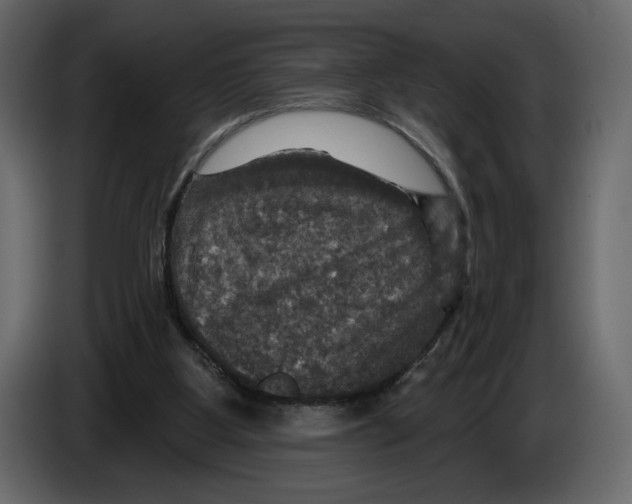 X0000084560107200703231808