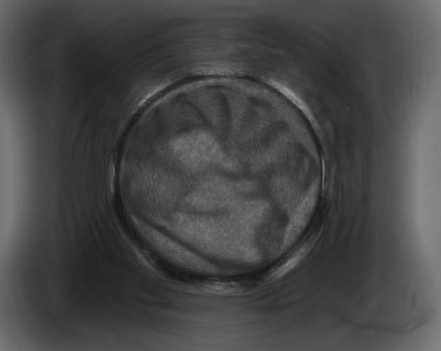 X0000084560109200703231808