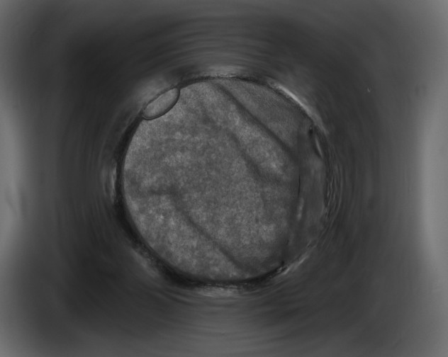 X0000084560110200703231808