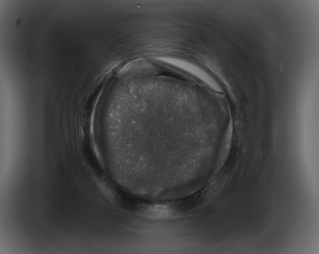 X0000084560114200703231808