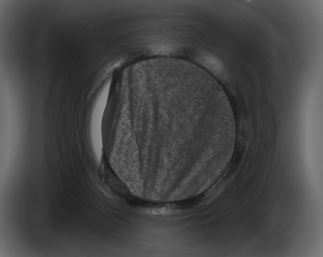 X0000084560116200703231808