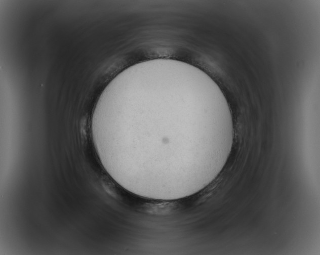 X0000084560122200703231808