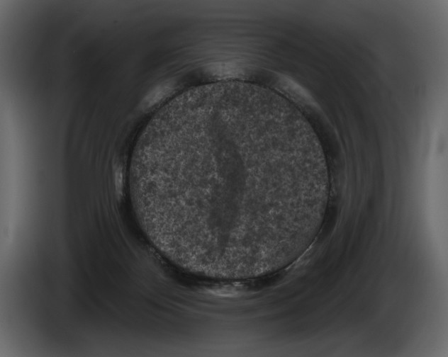 X0000084560124200703231808