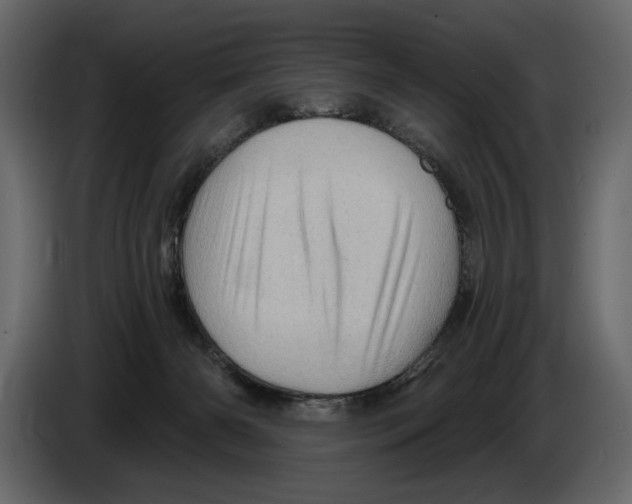 X0000084560126200703231808