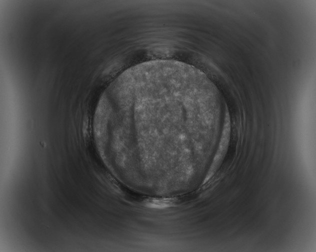 X0000084560134200703231807