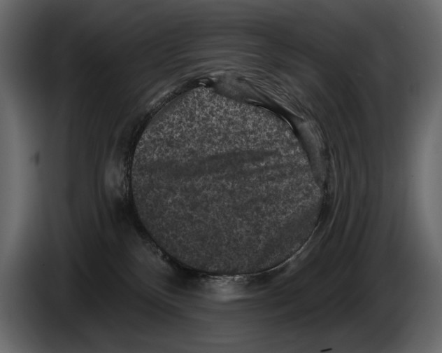 X0000084560136200703231807