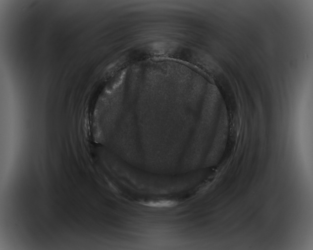 X0000084560137200703231807