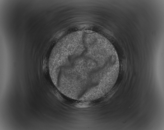 X0000084560138200703231807