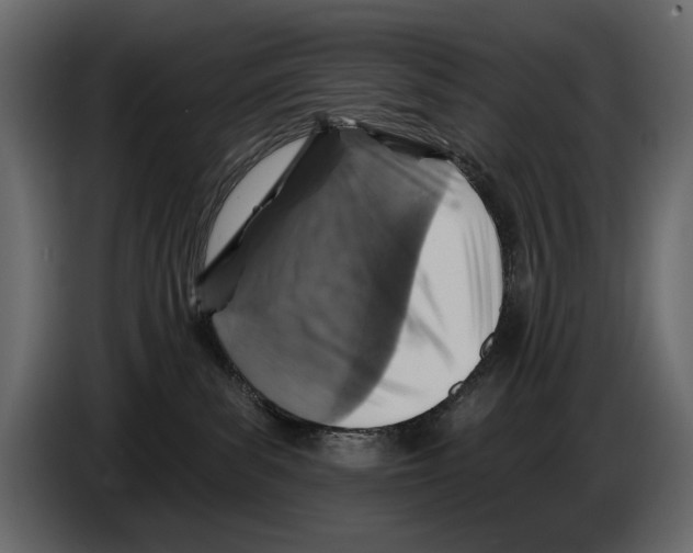 X0000084560139200703231807