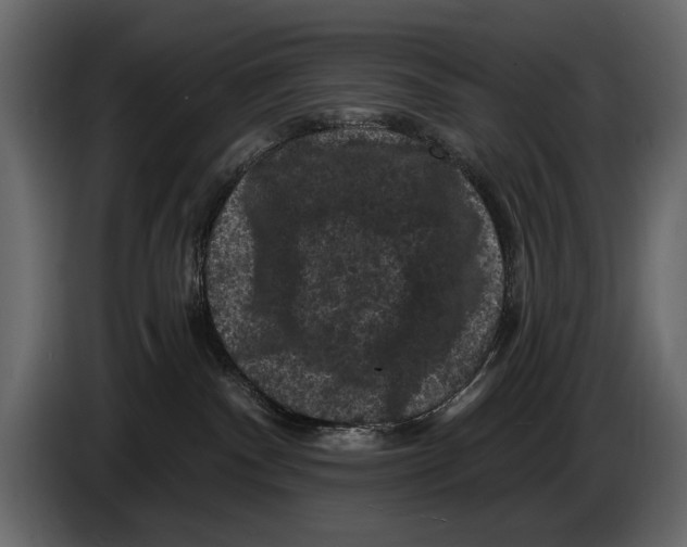 X0000084560140200703231807