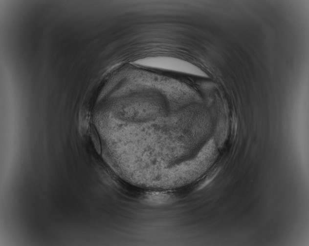 X0000084560141200703231807