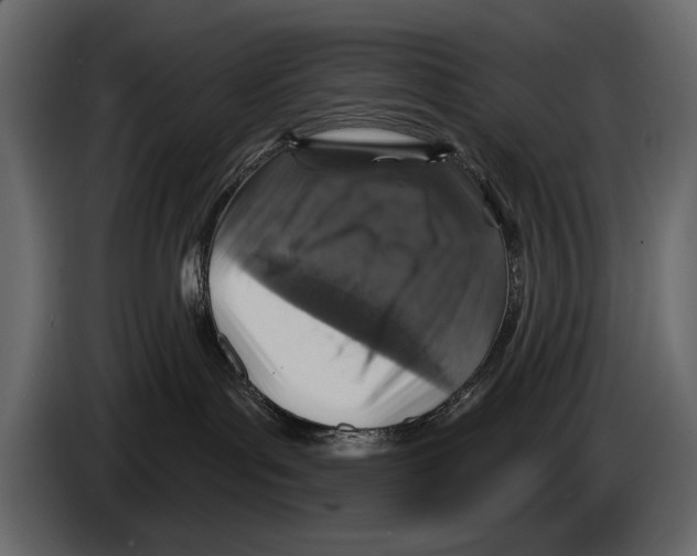 X0000084560143200703231807