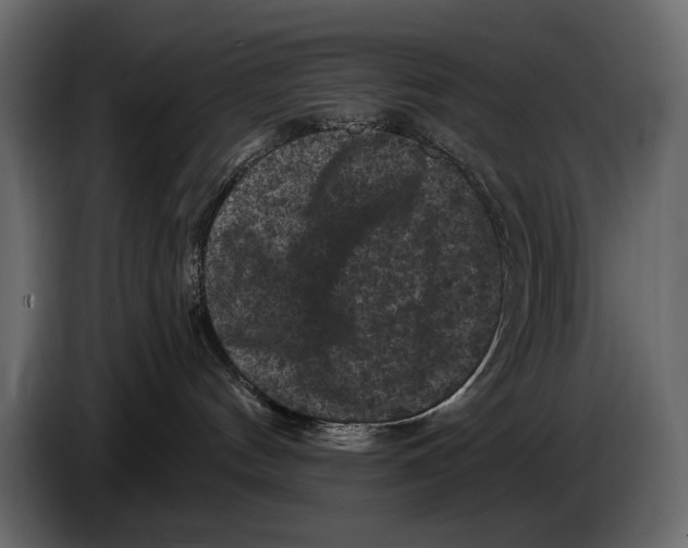 X0000084560144200703231807