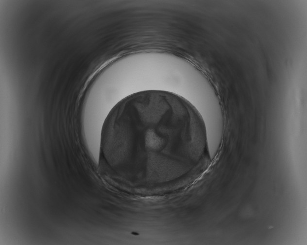 X0000084560146200703231807