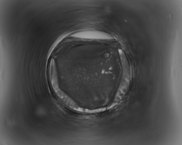 X0000084560147200703231807