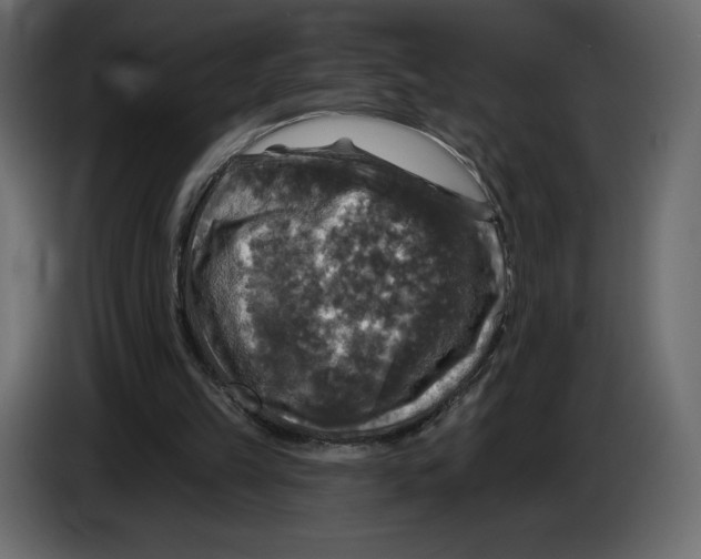 X0000084560149200703231807