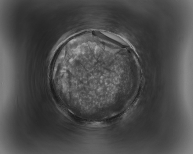 X0000084560151200703231807