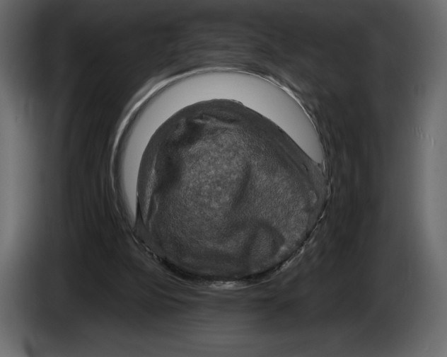 X0000084560152200703231807