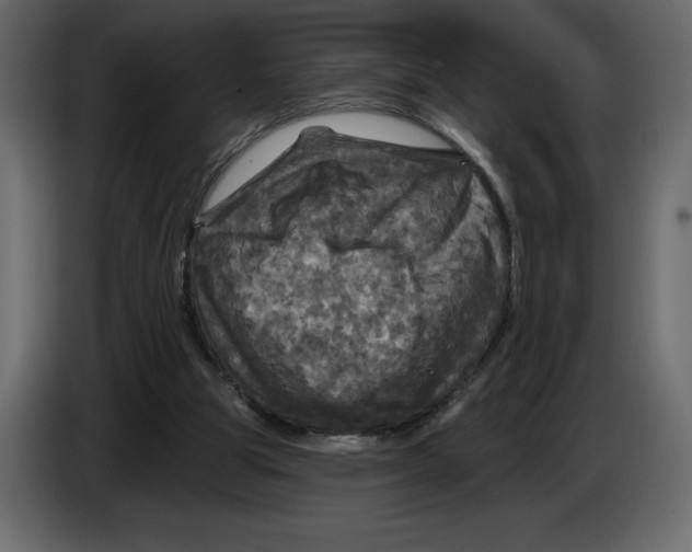 X0000084560153200703231807