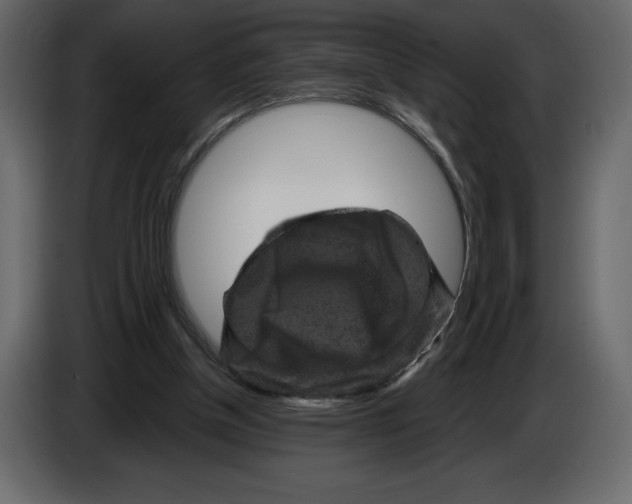 X0000084560154200703231807