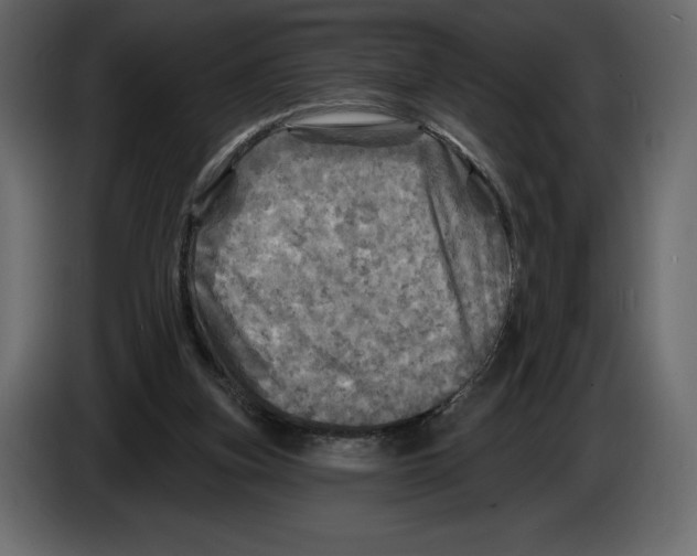 X0000084560155200703231807