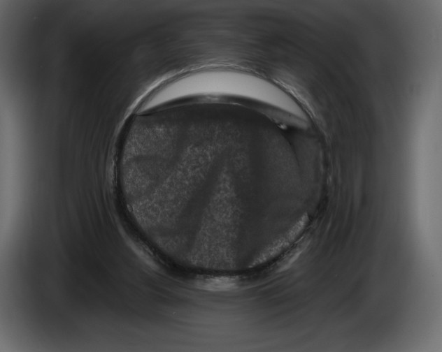 X0000084560156200703231807