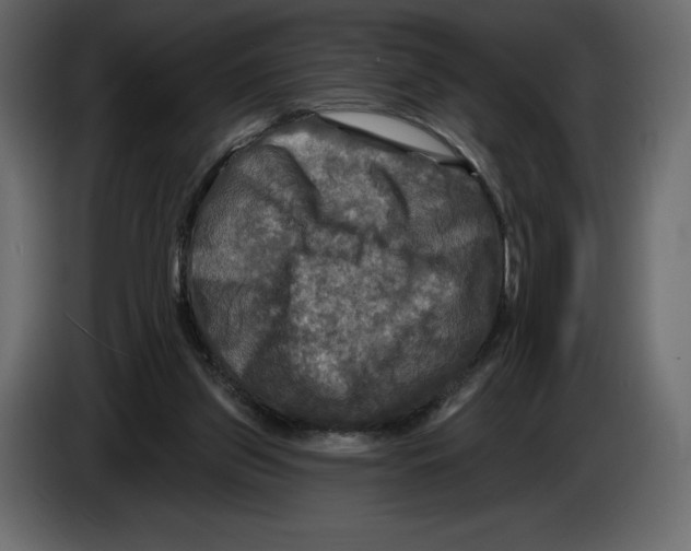 X0000084560157200703231807