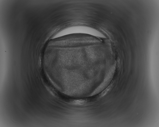 X0000084560158200703231807