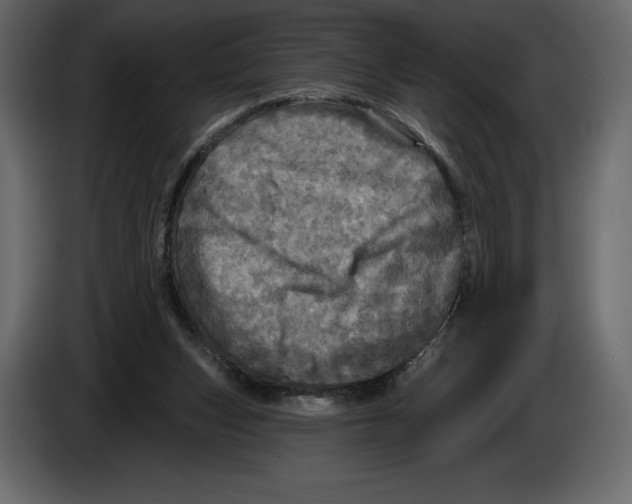 X0000084560159200703231807