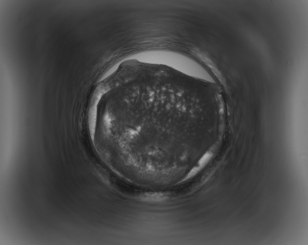 X0000084560161200703231807