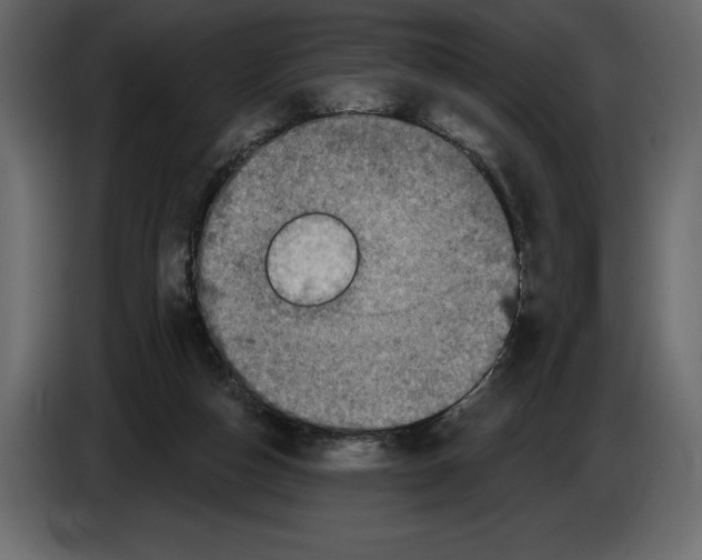 X0000084560162200703231807