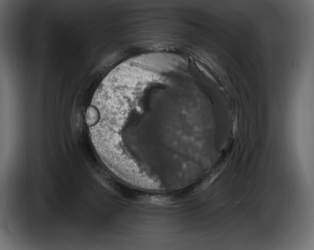 X0000084560165200703231807