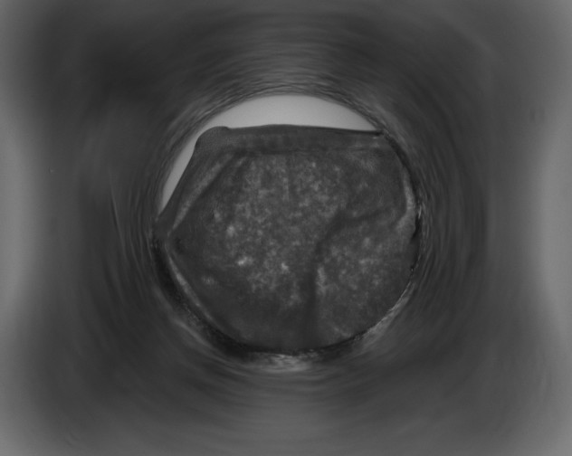 X0000084560166200703231807