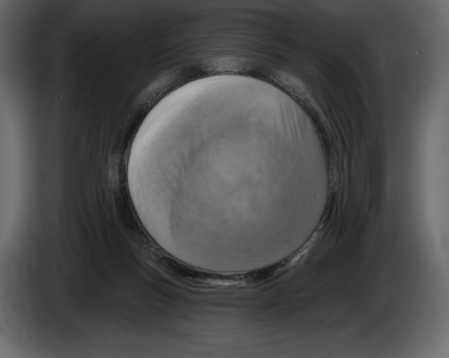 X0000084560167200703231807