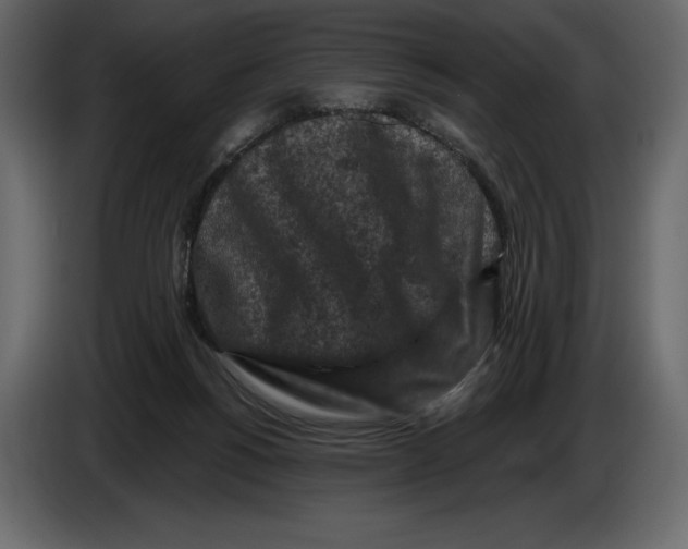 X0000084560168200703231807