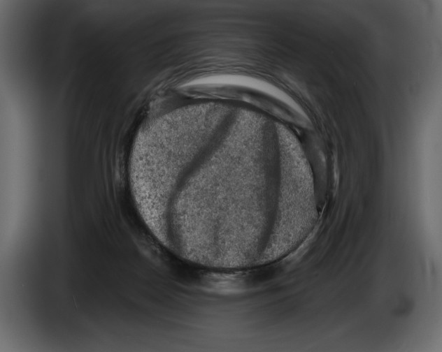 X0000084560170200703231807