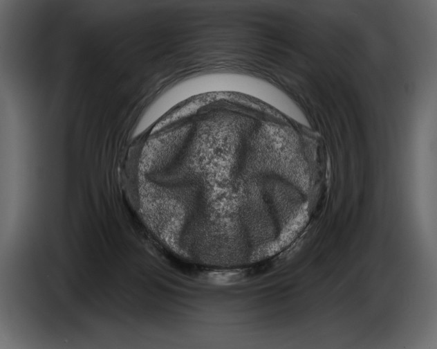 X0000084560172200703231807