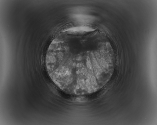 X0000084560173200703231807