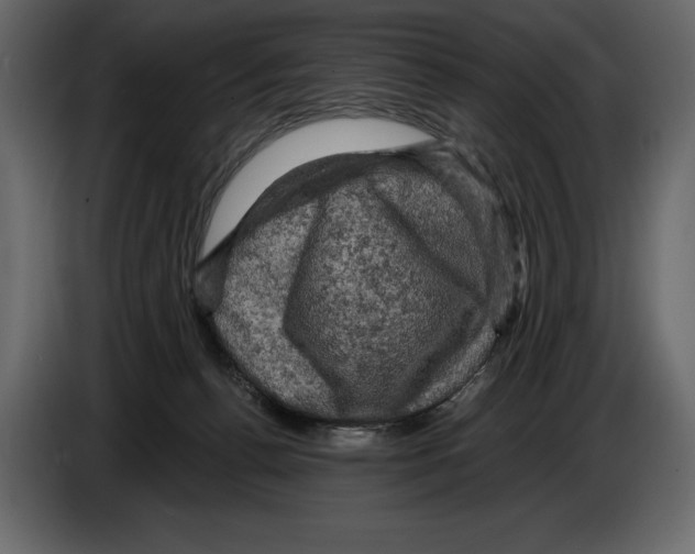 X0000084560176200703231807