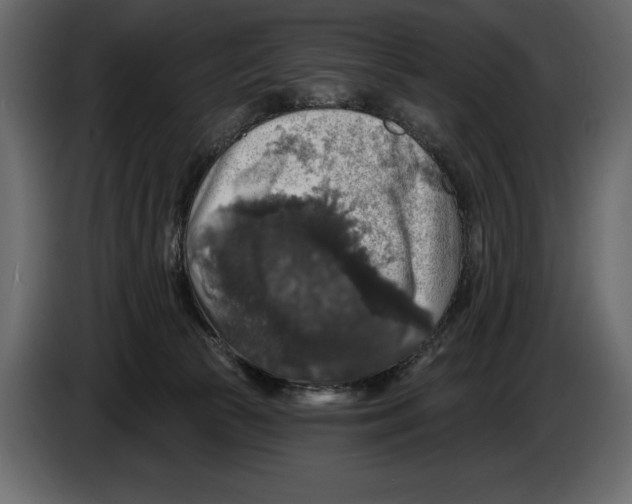 X0000084560177200703231807