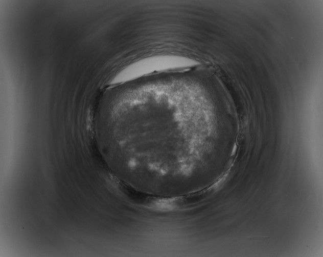 X0000084560178200703231807