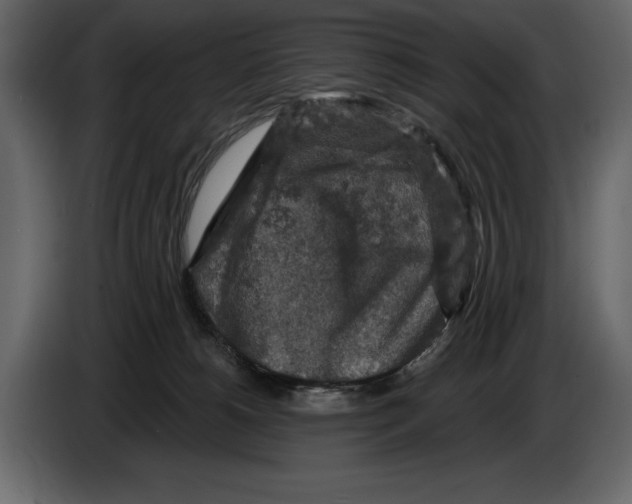 X0000084560180200703231807