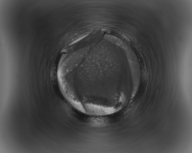 X0000084560181200703231807