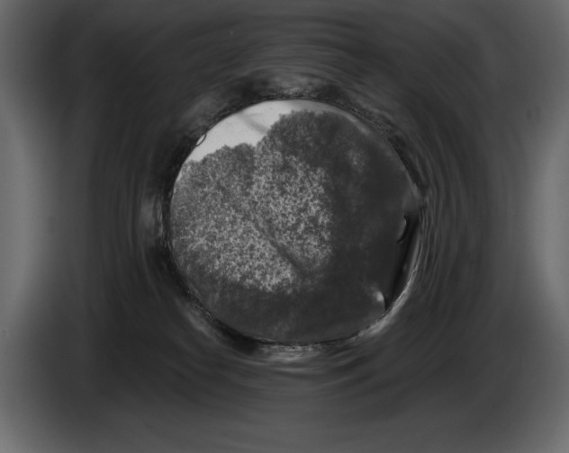 X0000084560182200703231807