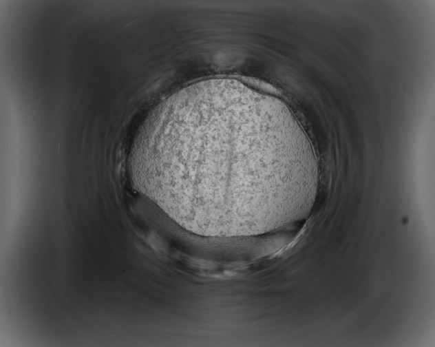 X0000084560184200703231807