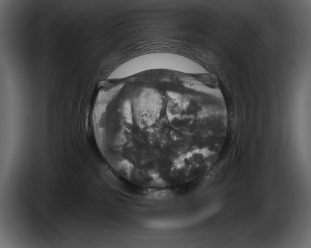 X0000084560185200703231807