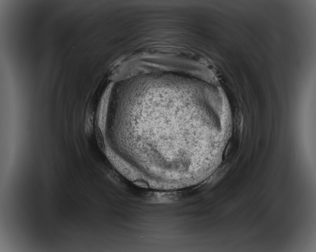 X0000084560188200703231807