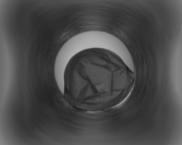 X0000084560190200703231807