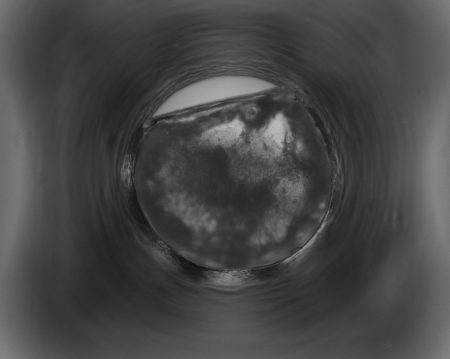 X0000084560191200703231807